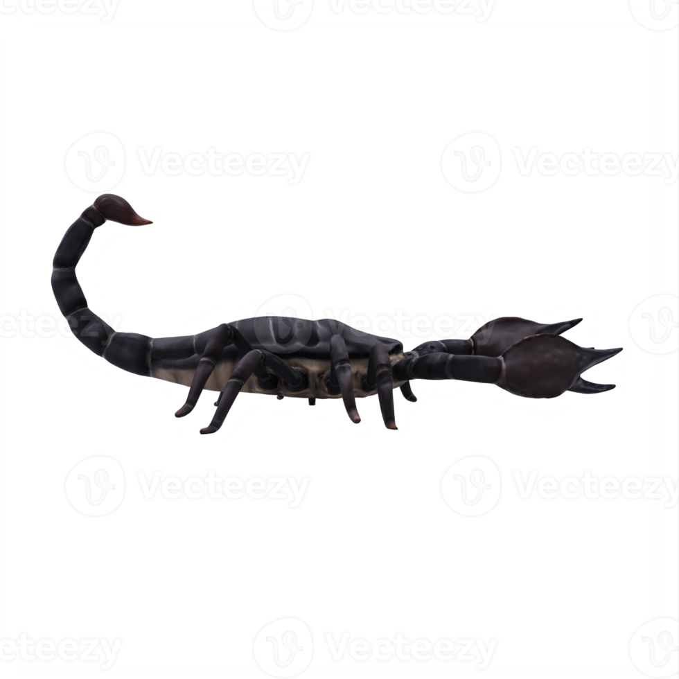 3d SCORPION isolated png