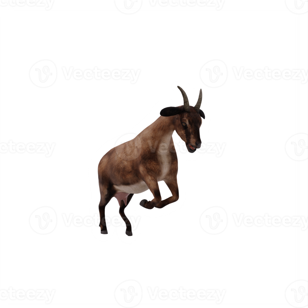 3d goat isolated png