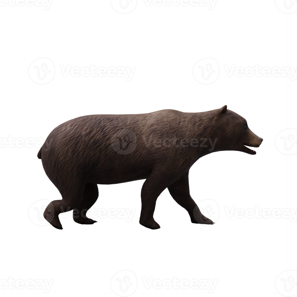 3d Bear isolated png