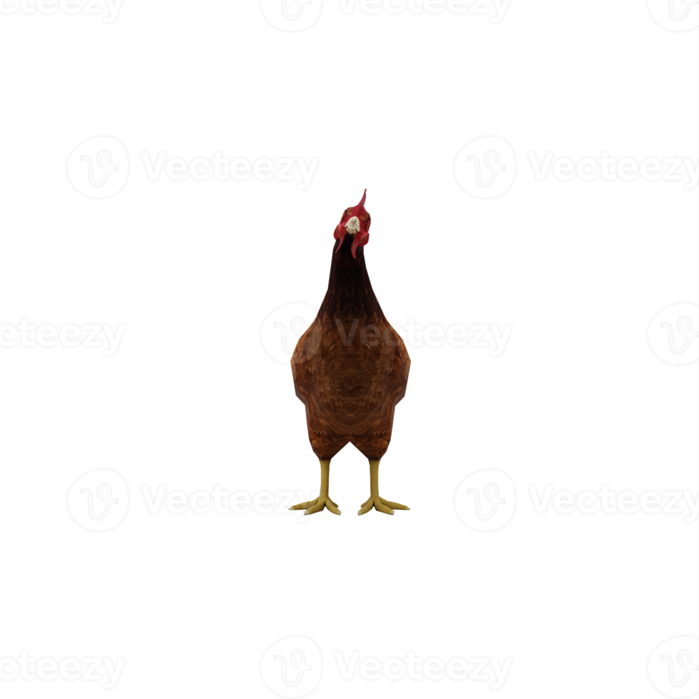 3d Chicken isolated png