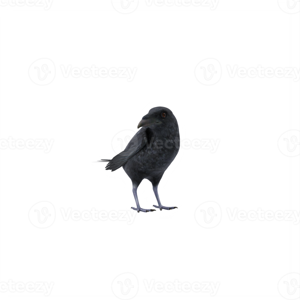 3d crow isolated png