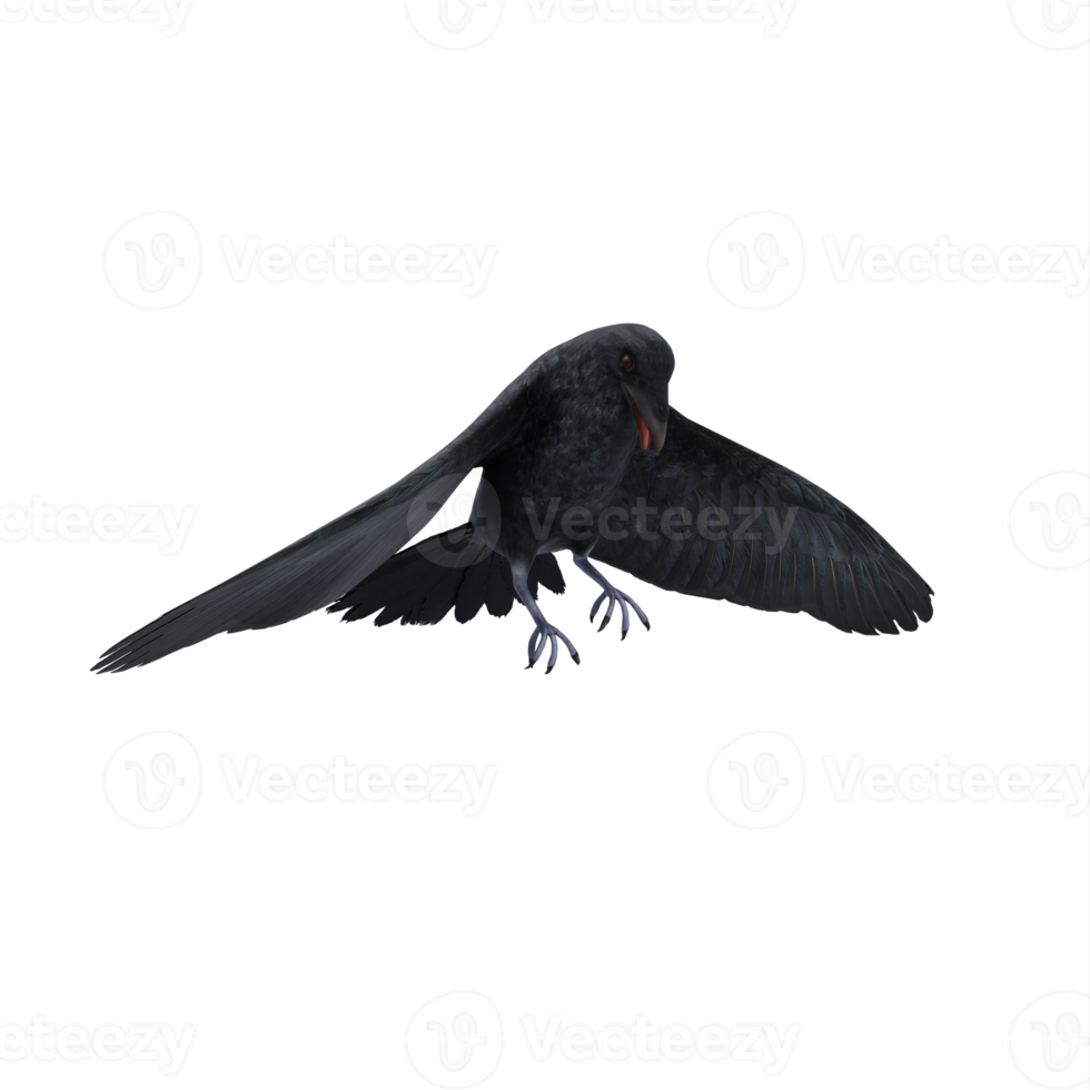 3d crow isolated png