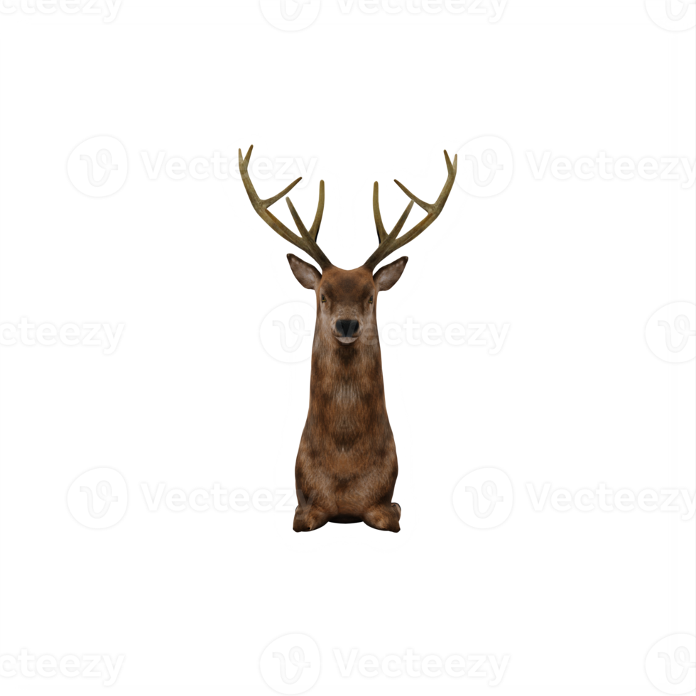 3d deer stag isolated png