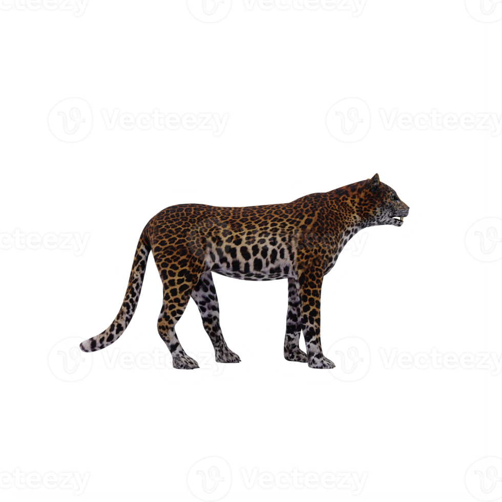 leopardo 3d aislado png