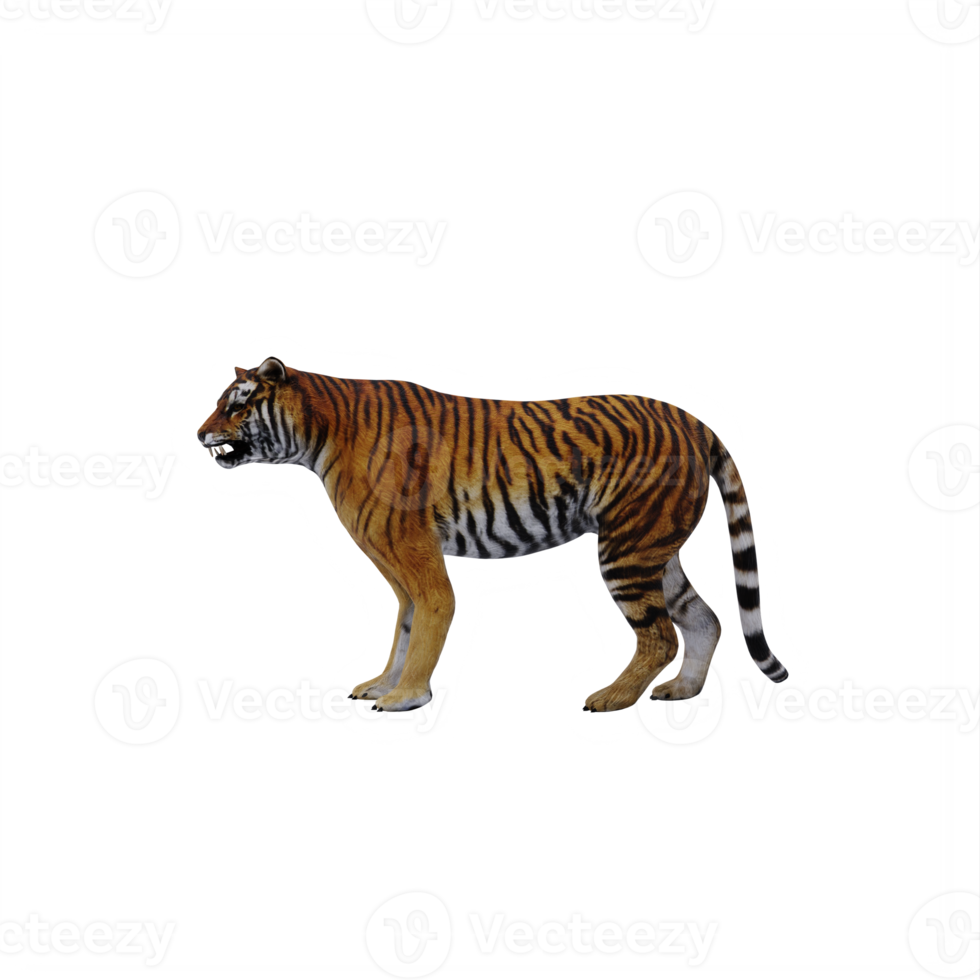 Tigre 3D foto de stock. Imagem de isolado, animal, grande - 36338776