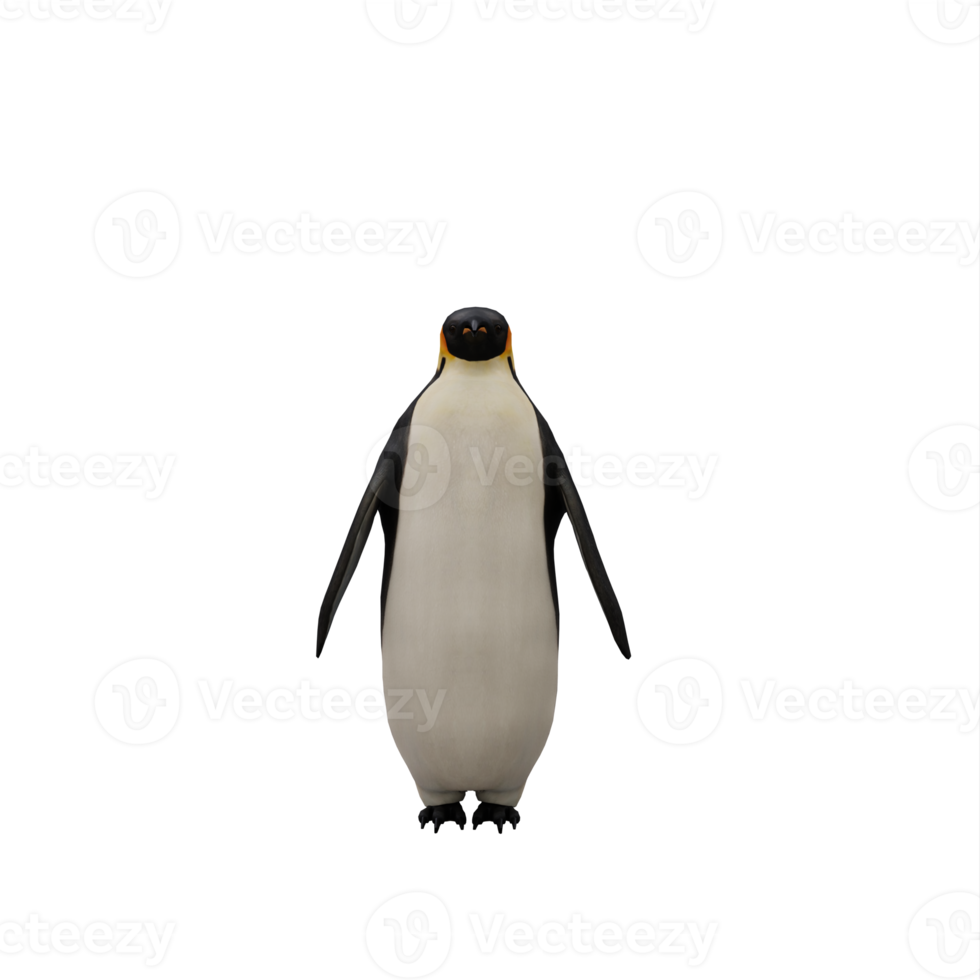 pinguim 3d isolado png