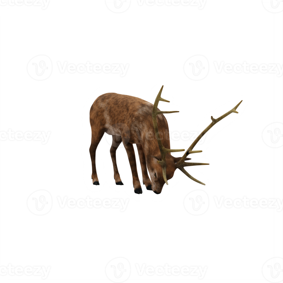 3d deer stag isolated png