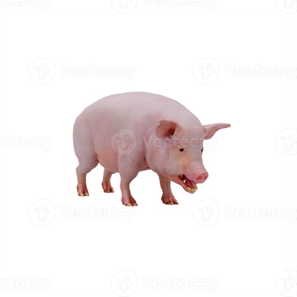 3d pig isolated png