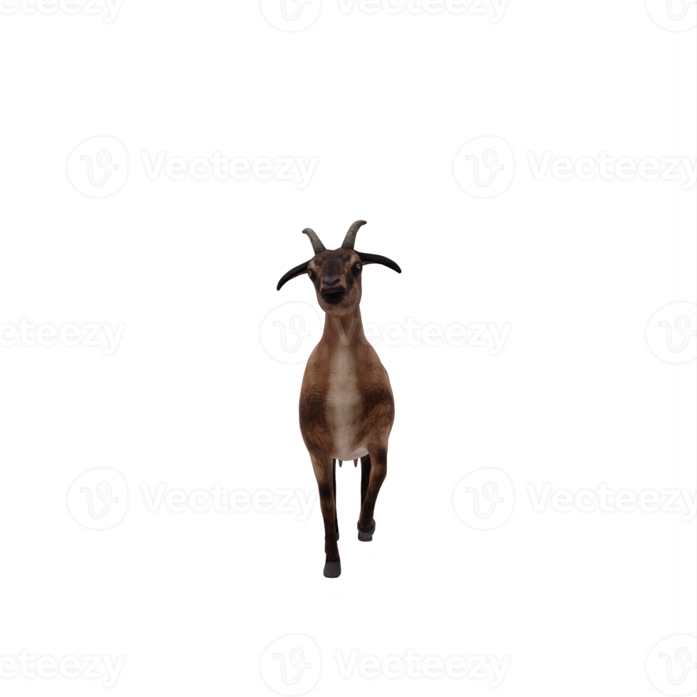 3d goat isolated png