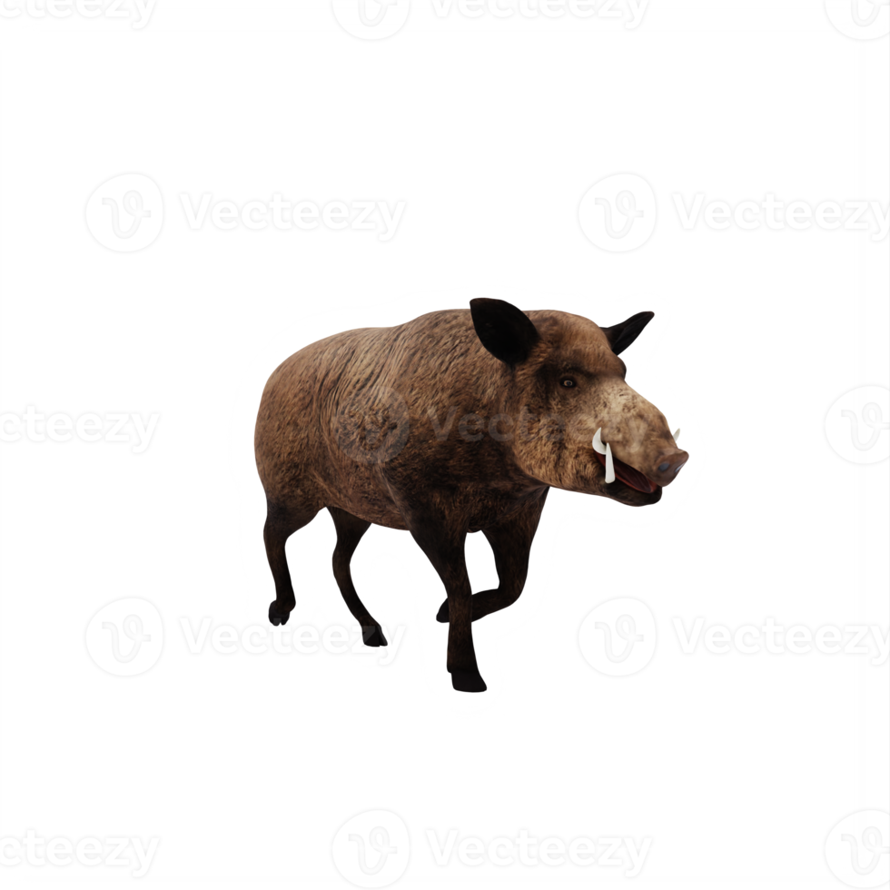 3d WILD BOAR isolated png