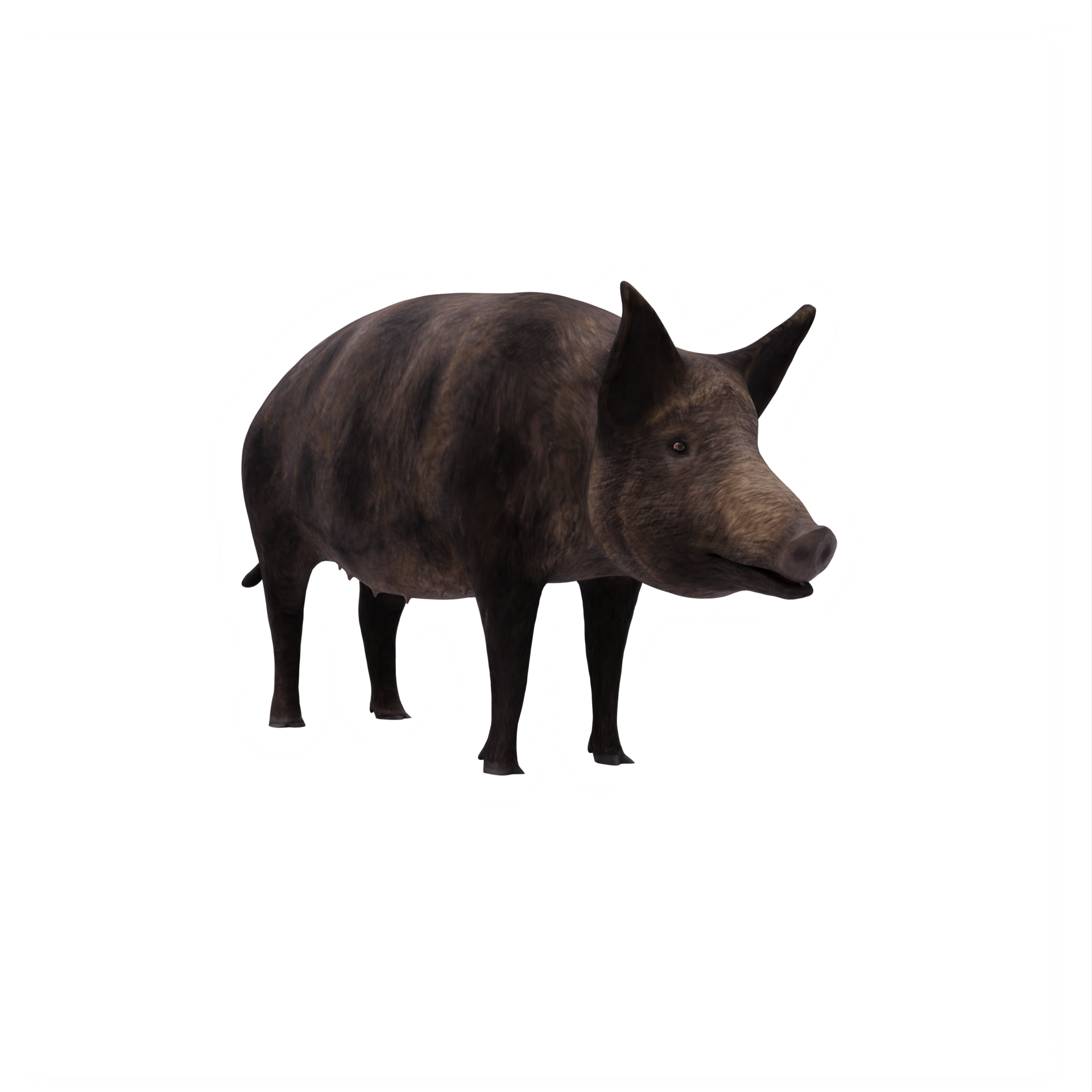 iron age pig isolated 18875988 PNG