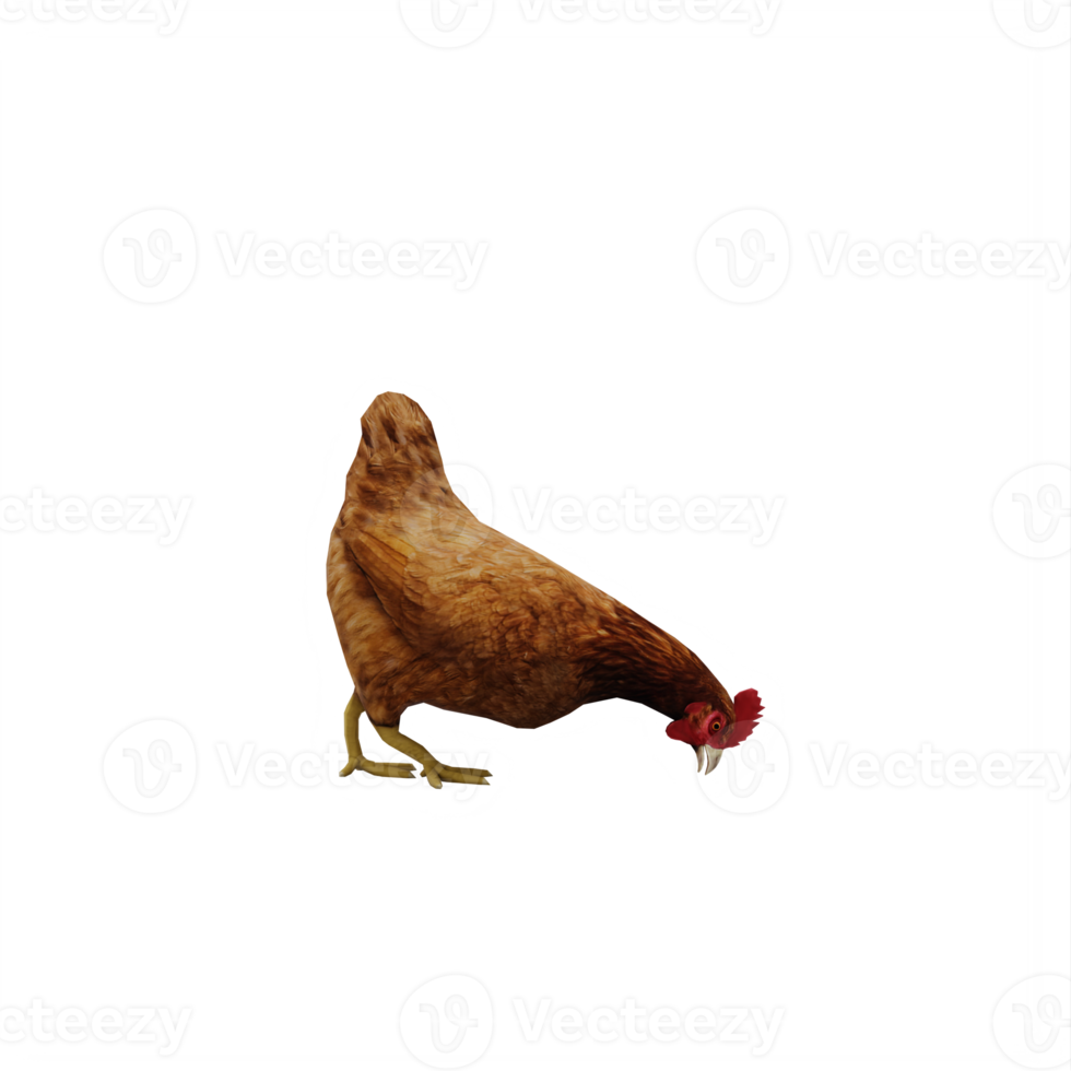 3d pollo isolato png