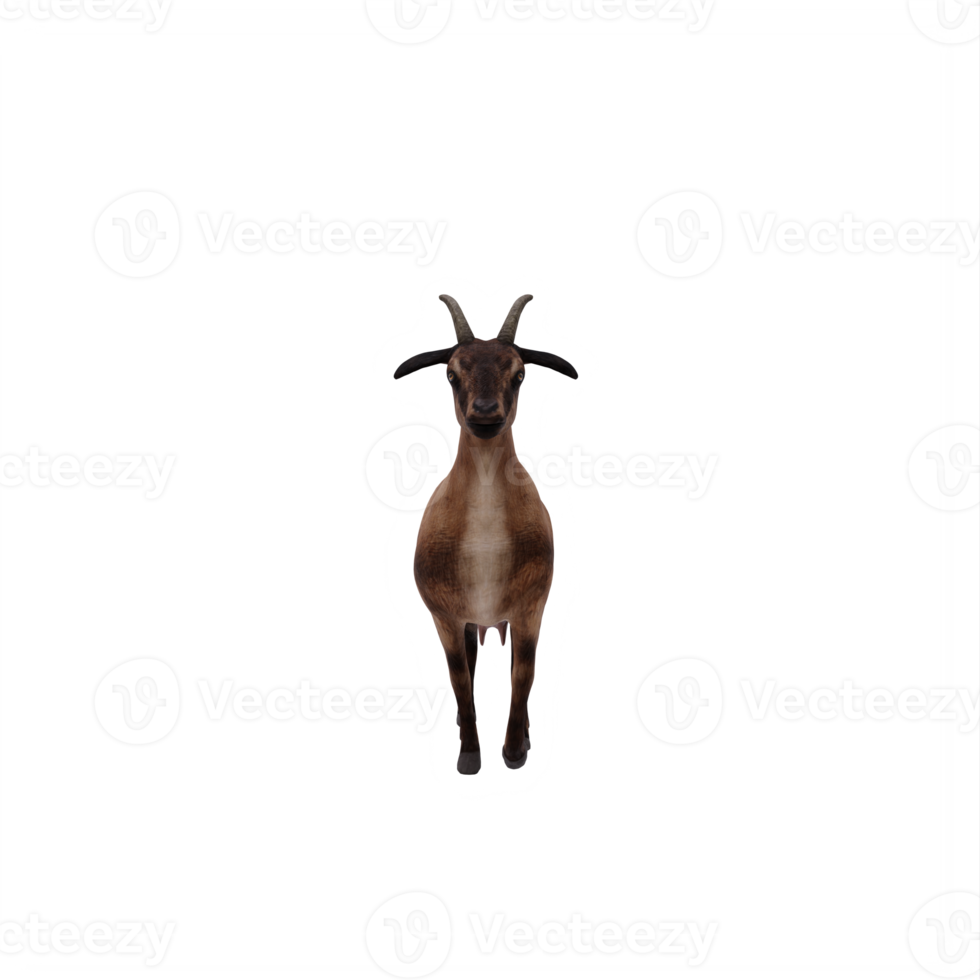 3d goat isolated png