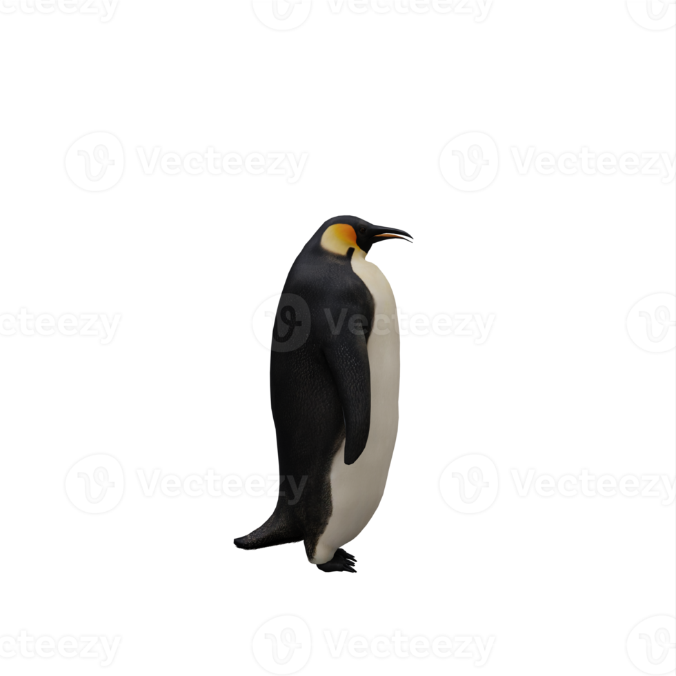 3d pinguino isolato png