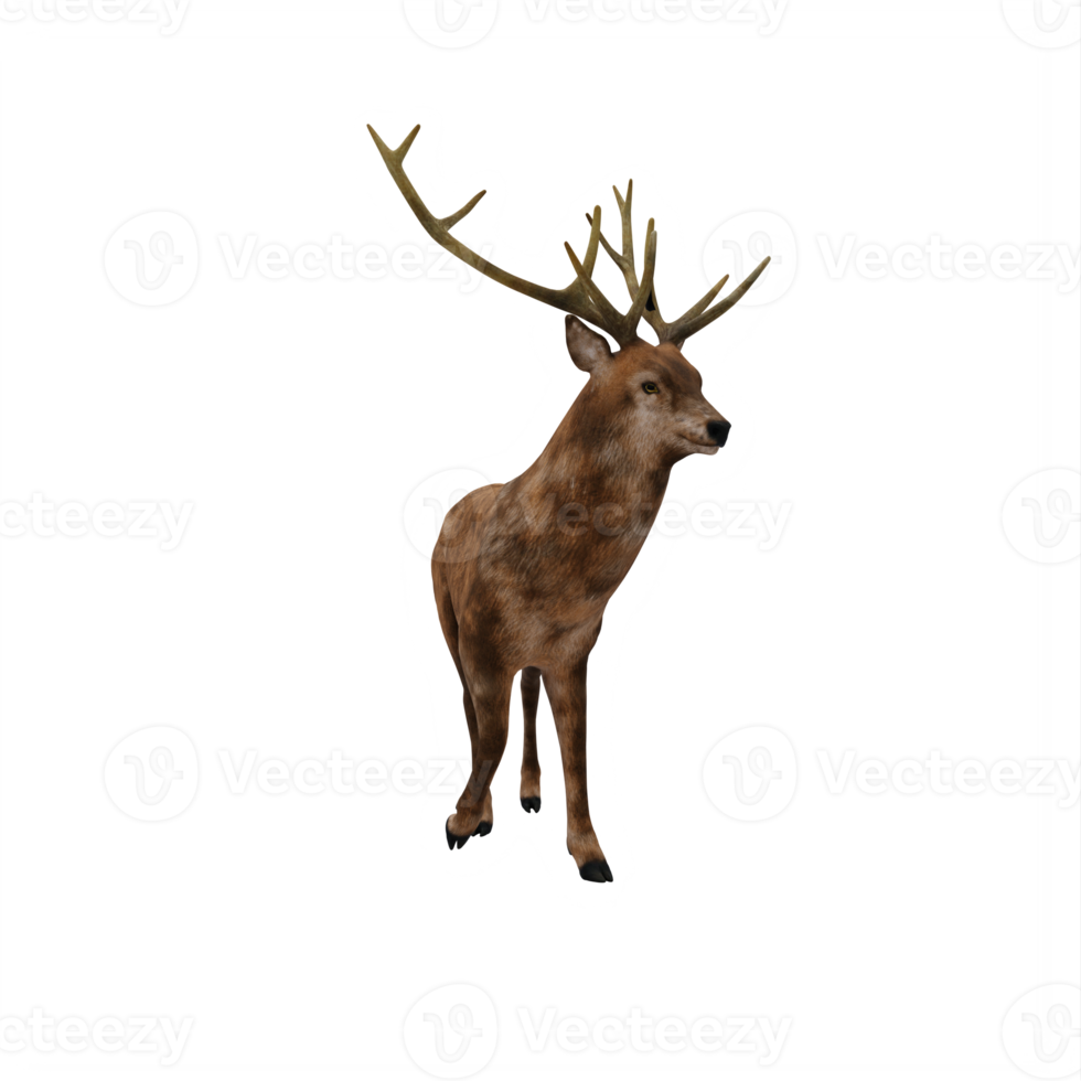 3d deer stag isolated png