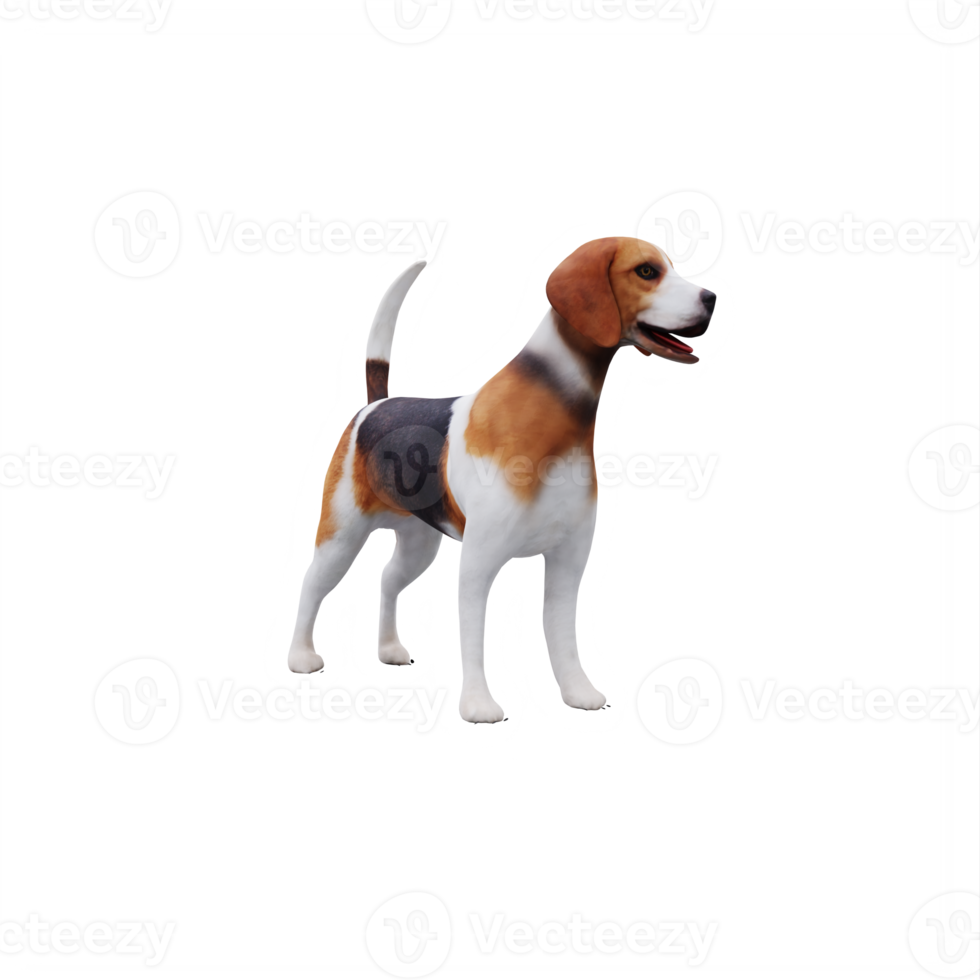 brak schors schattig hond png