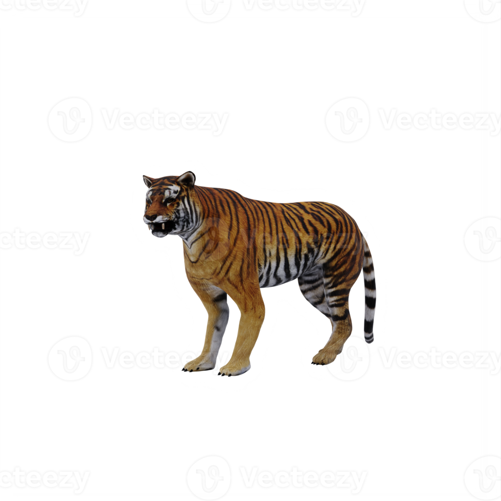 3d tigre isolato png