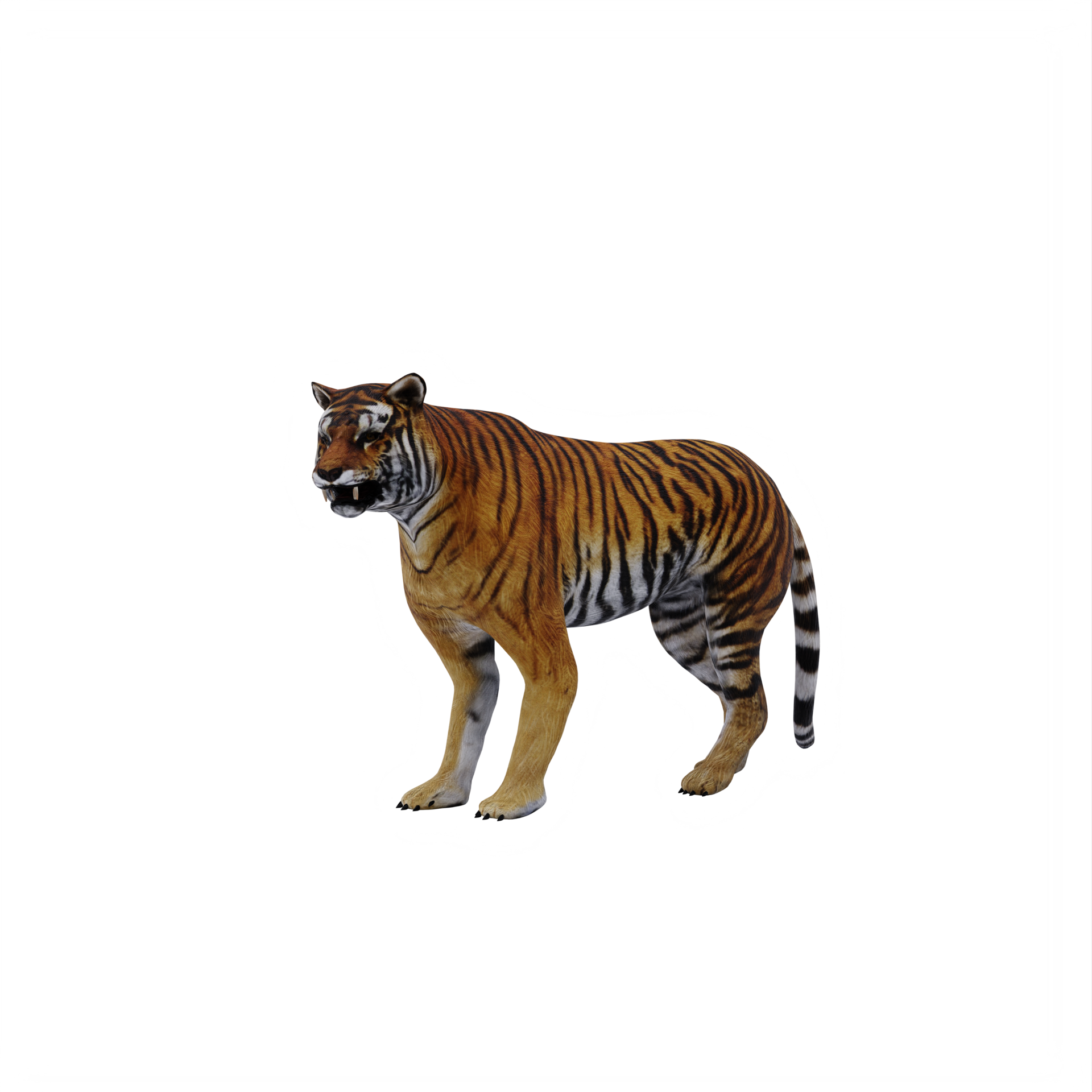 tigre 3d isolado 18875963 PNG