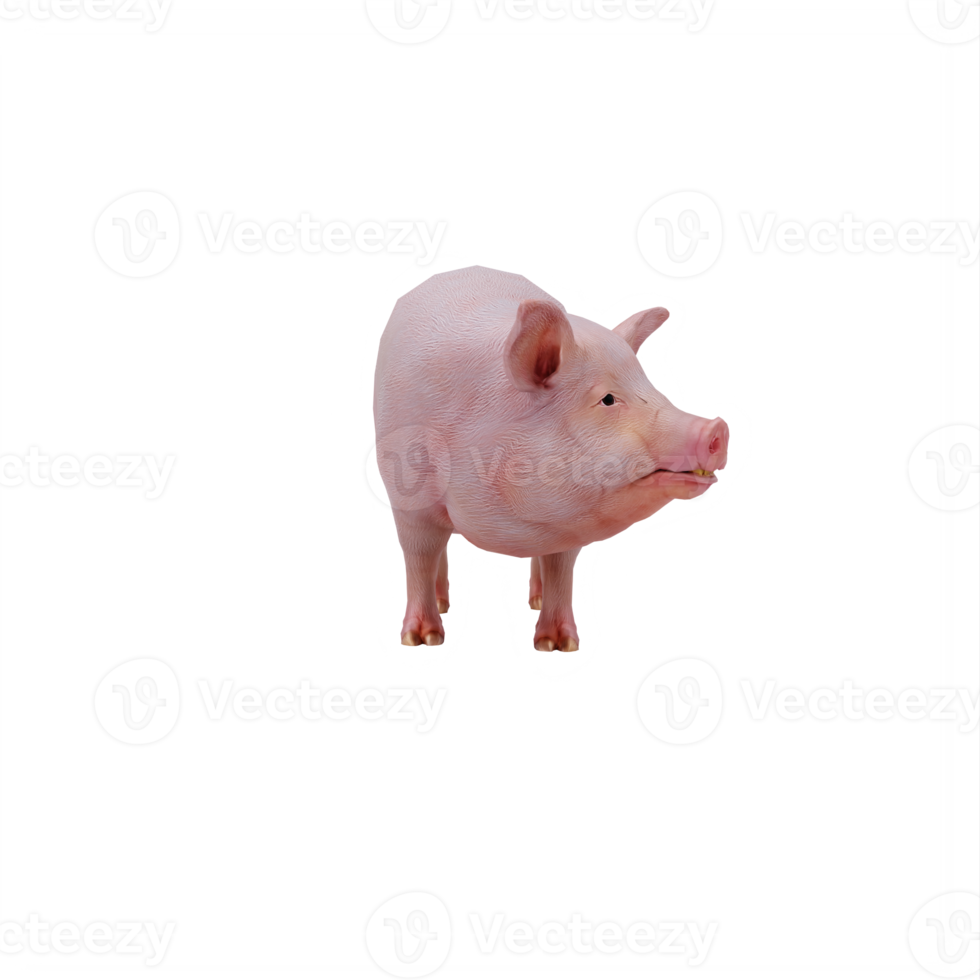 3d pig isolated png