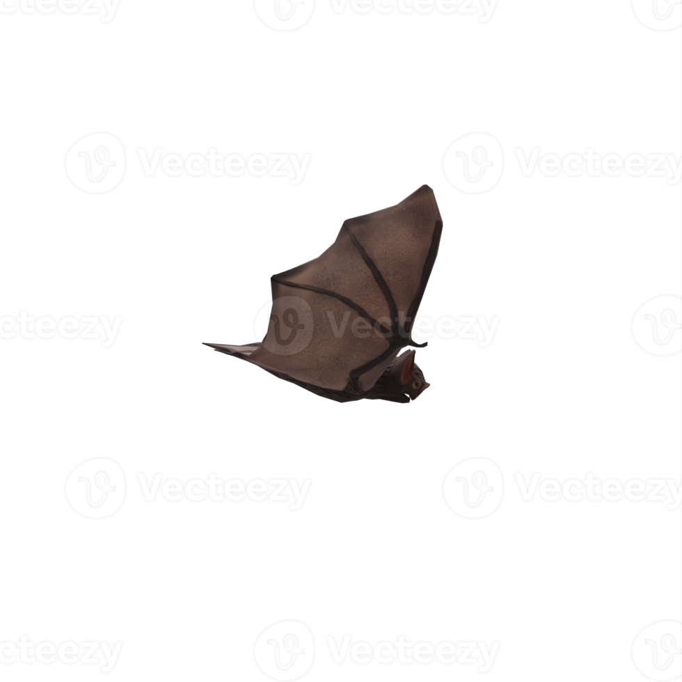 3d Bat isolated png