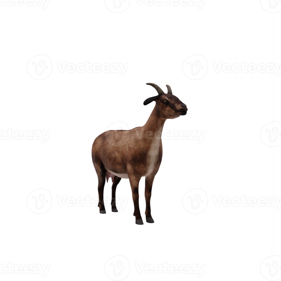 3d goat isolated png