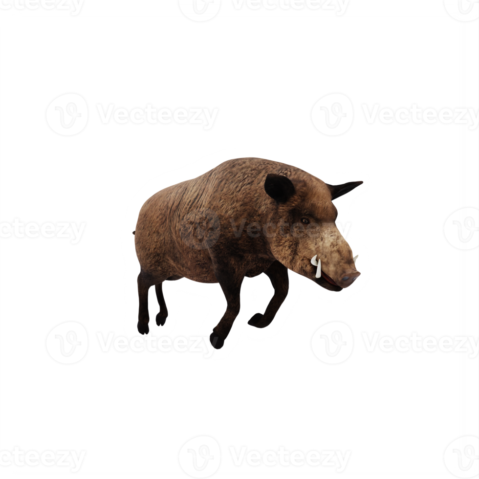 3d WILD BOAR isolated png