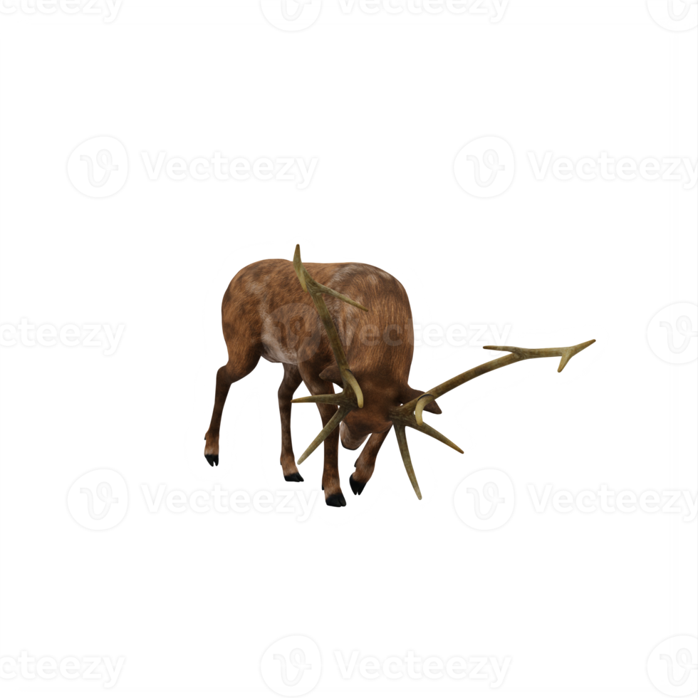 veado de veado 3d isolado png