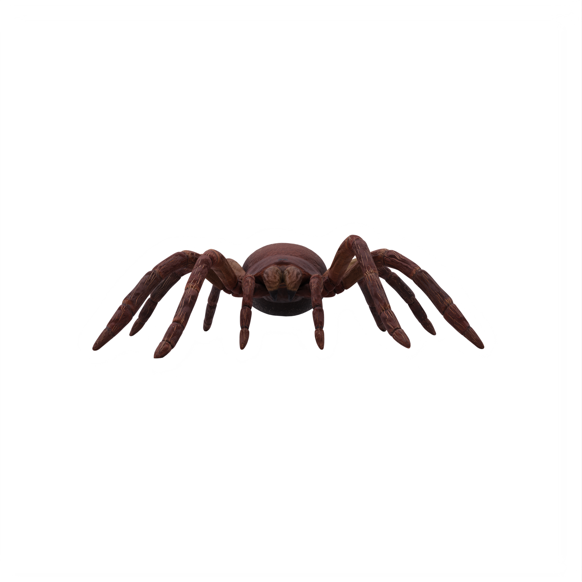Free Goliat Birdeater Tar ntula Theraphosa Blondi 18876049 PNG With free-goliat-birdeater-tar-ntula-theraphosa-blondi-18876049-png-with