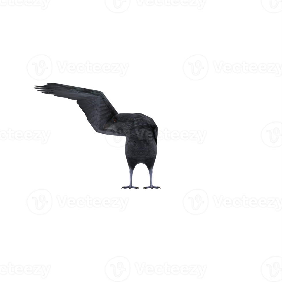 3d crow isolated png