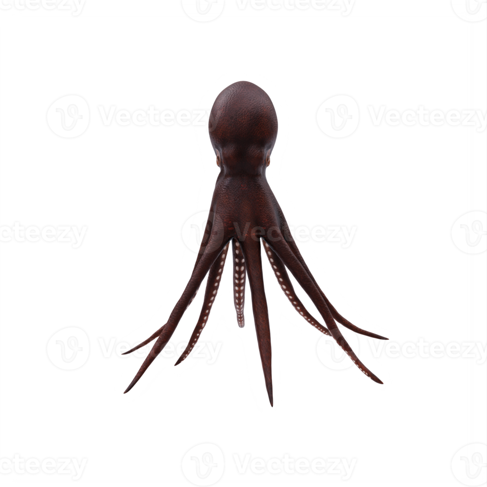 3D-Oktopus isoliert png