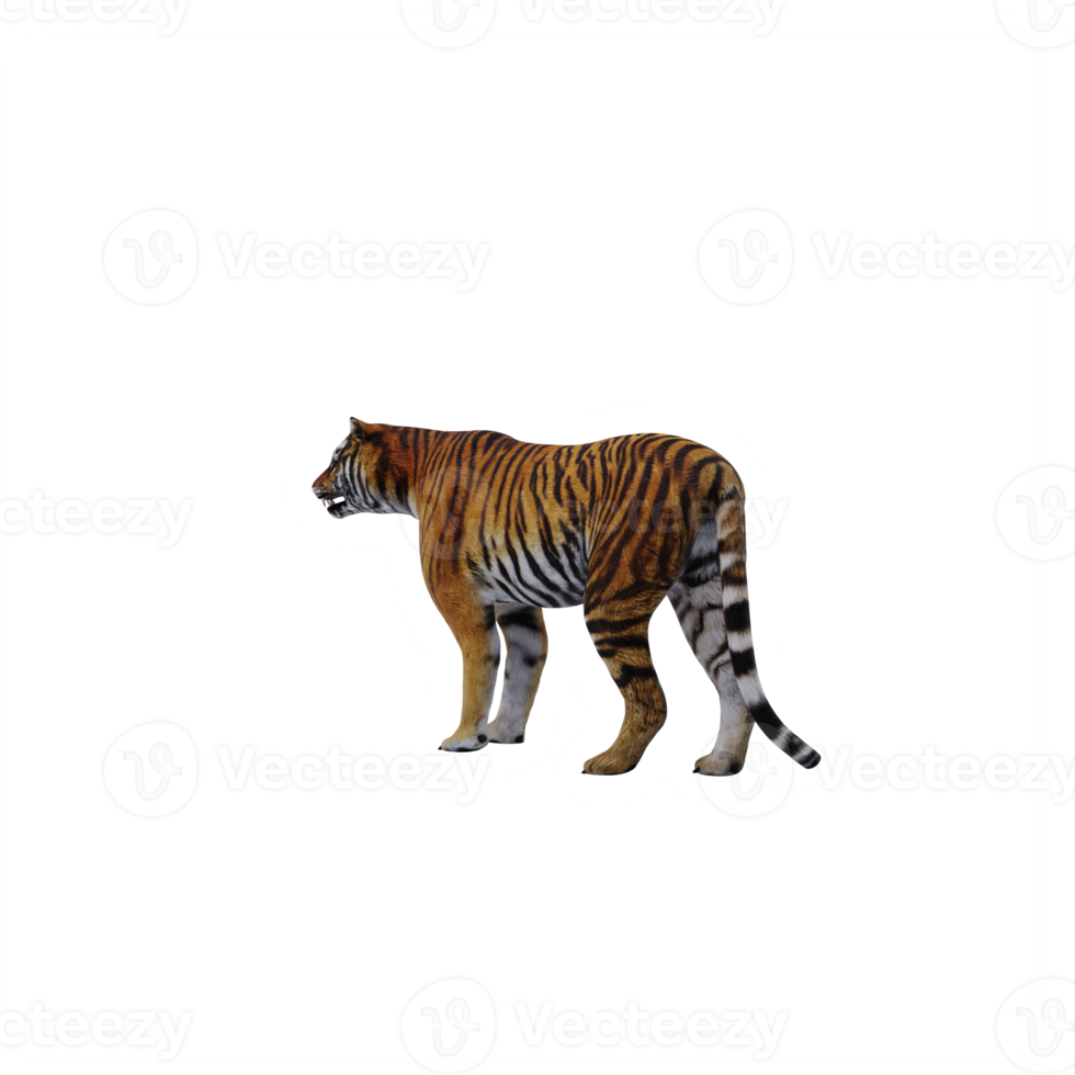 tigre 3d isolado 18875963 PNG