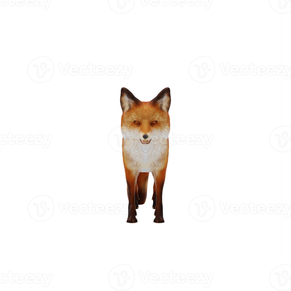 3d Fox isolated png