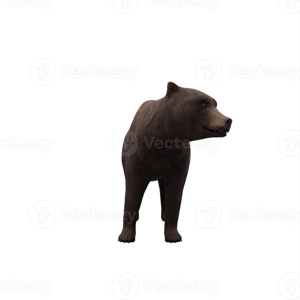 3d Bear isolated png