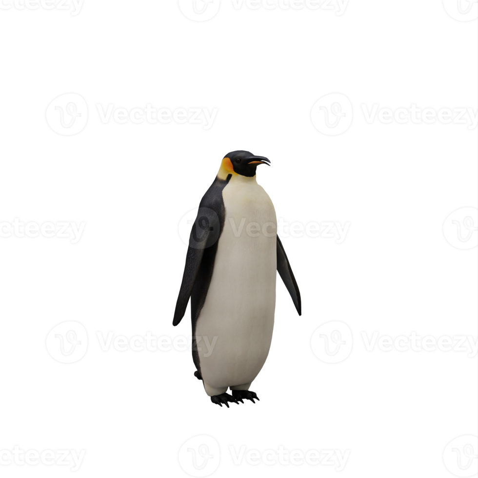 pinguim 3d isolado png