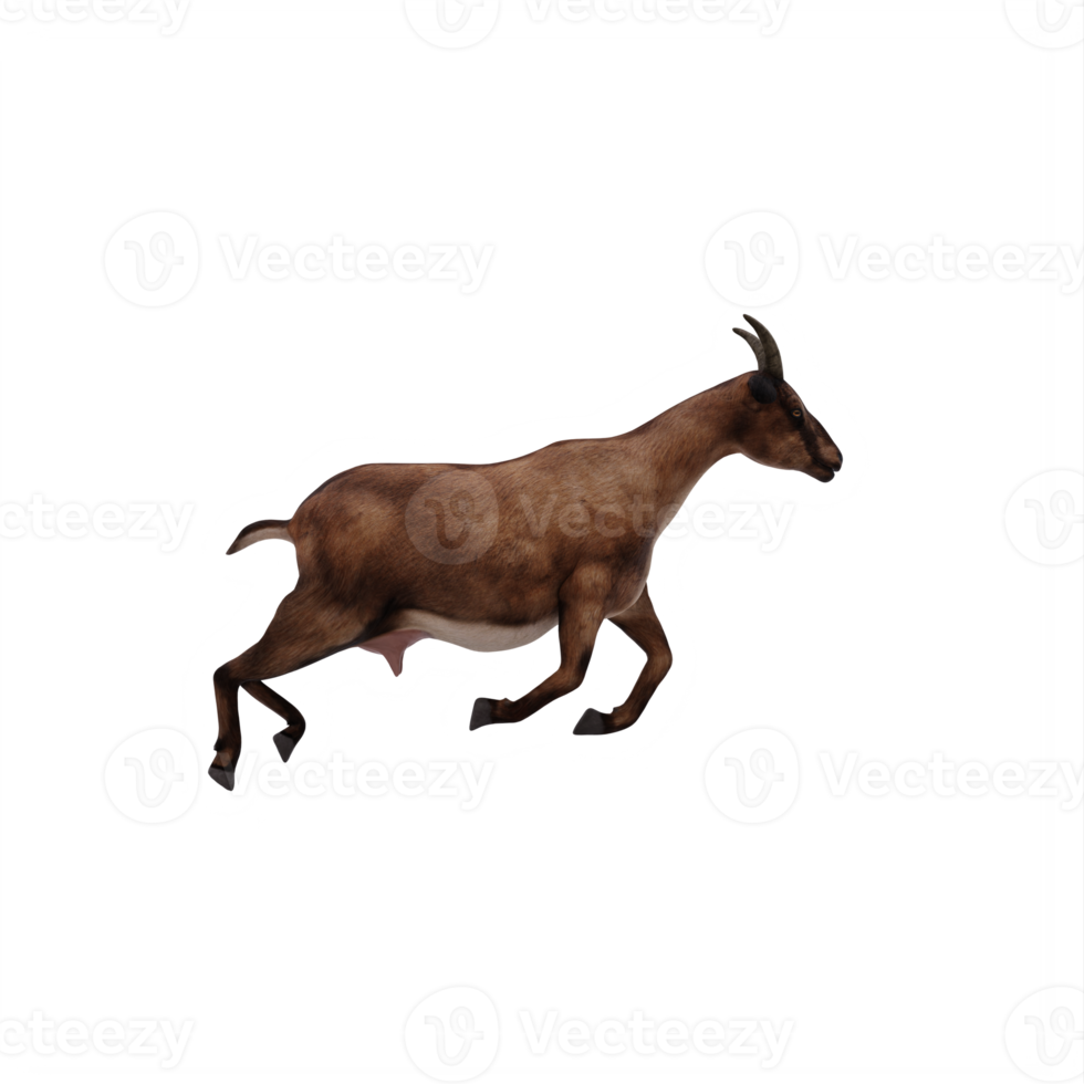 3d goat isolated png