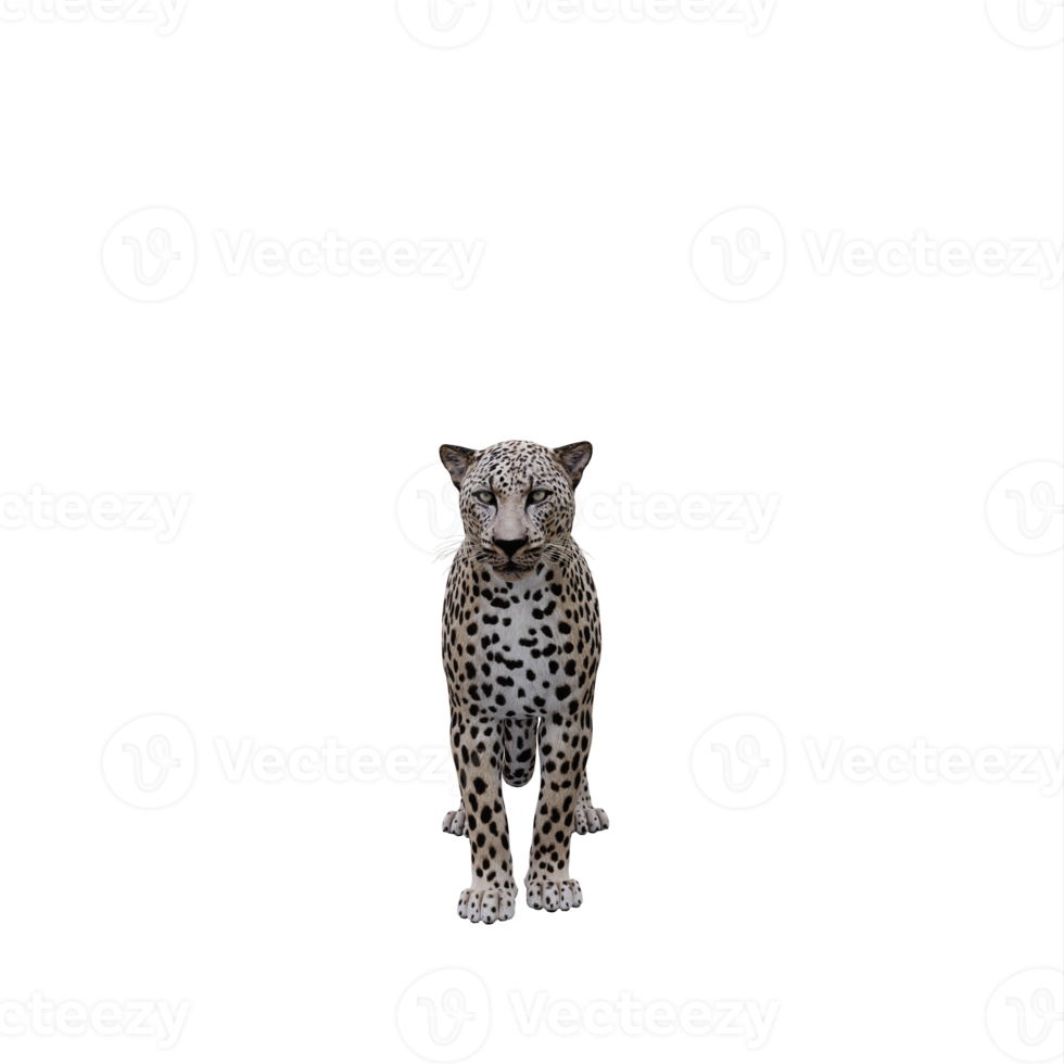 leopardo 3d aislado png