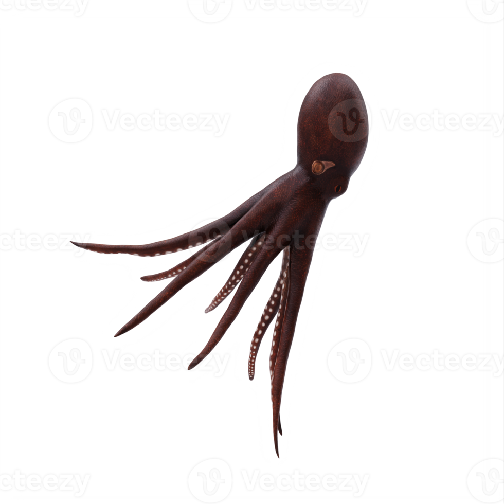 3d octopus isolated png