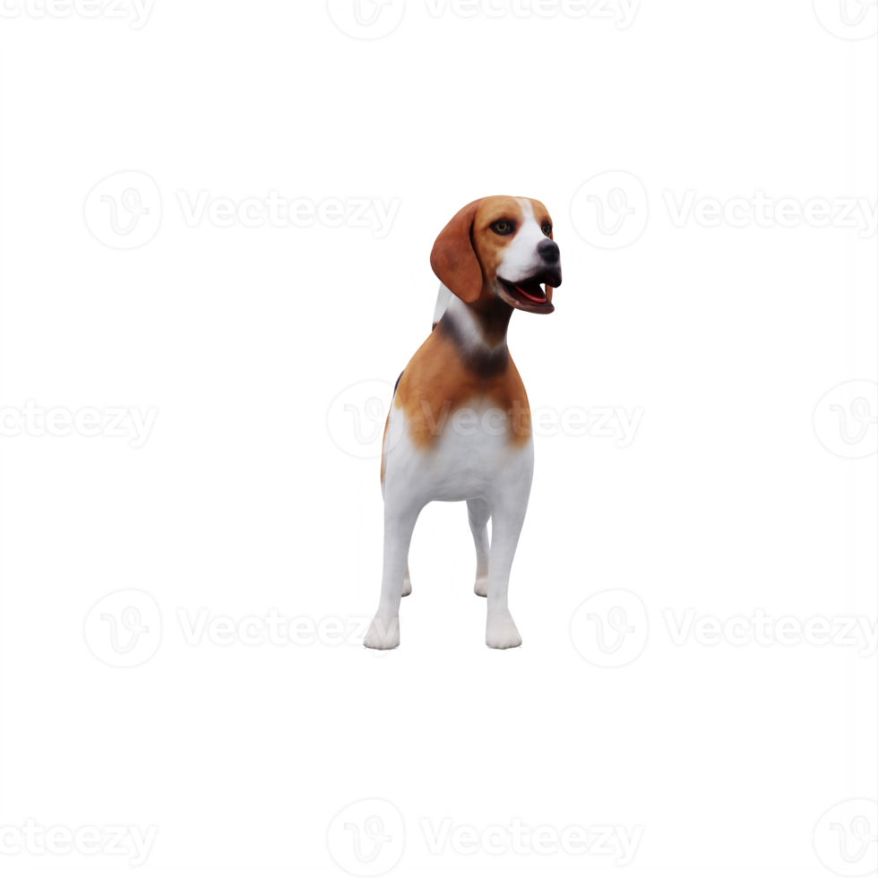 beagle écorce chien mignon png