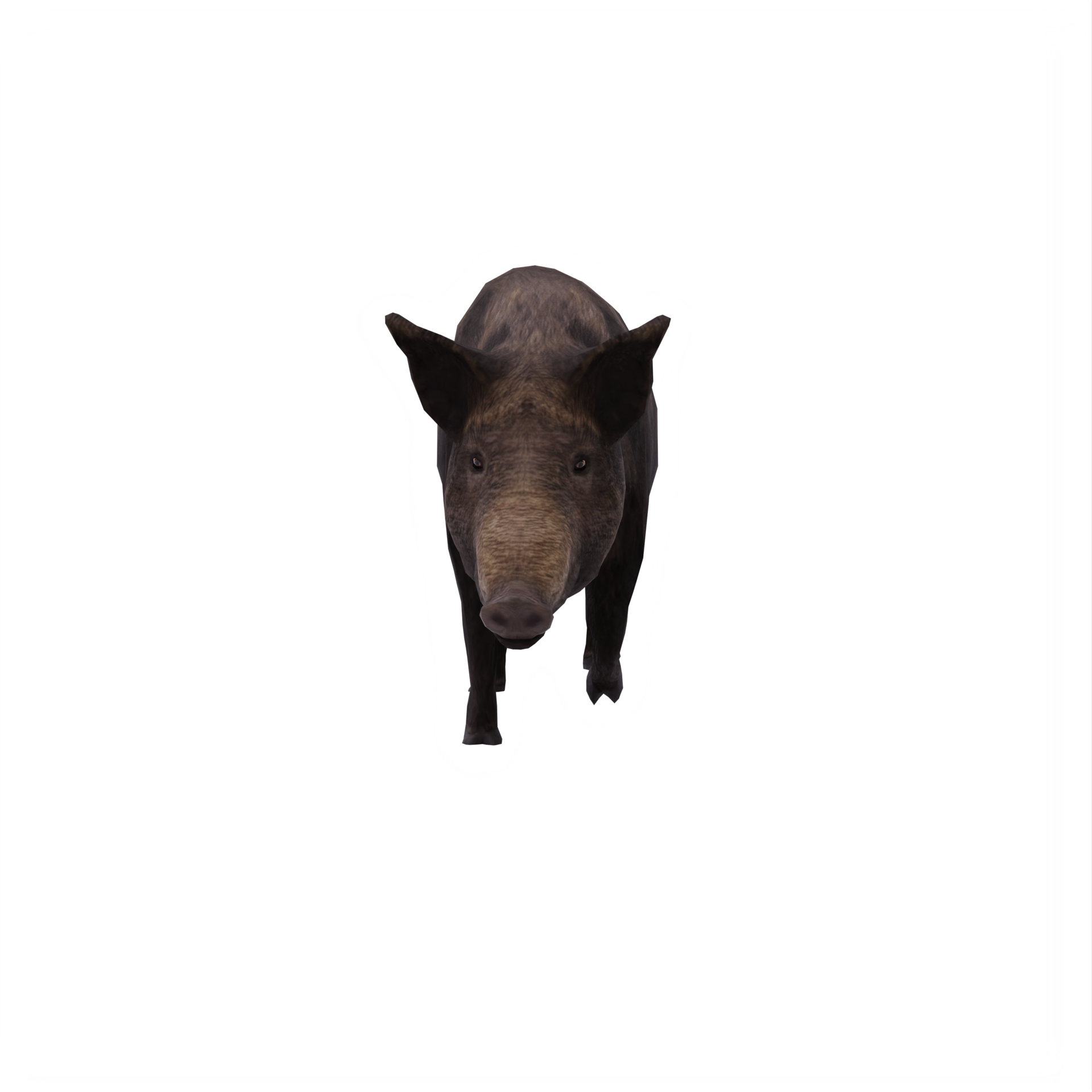 iron age pig isolated 18876089 PNG