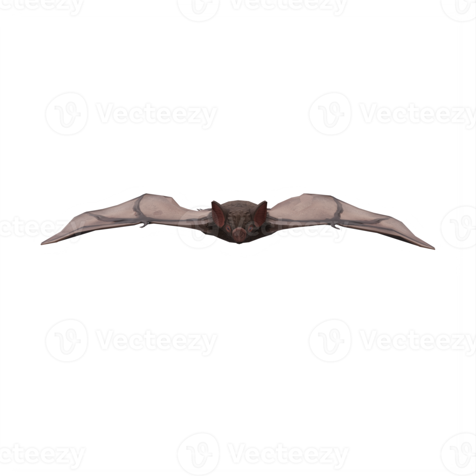 3d Bat isolated png