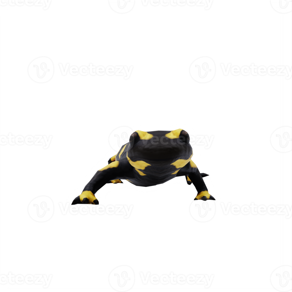 Fire Salamander isolated png
