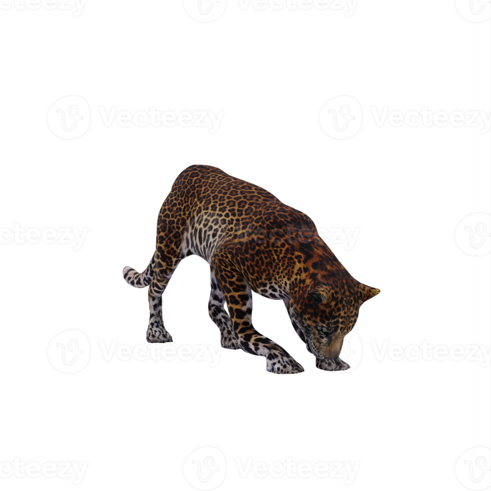 3D-Leopard isoliert png