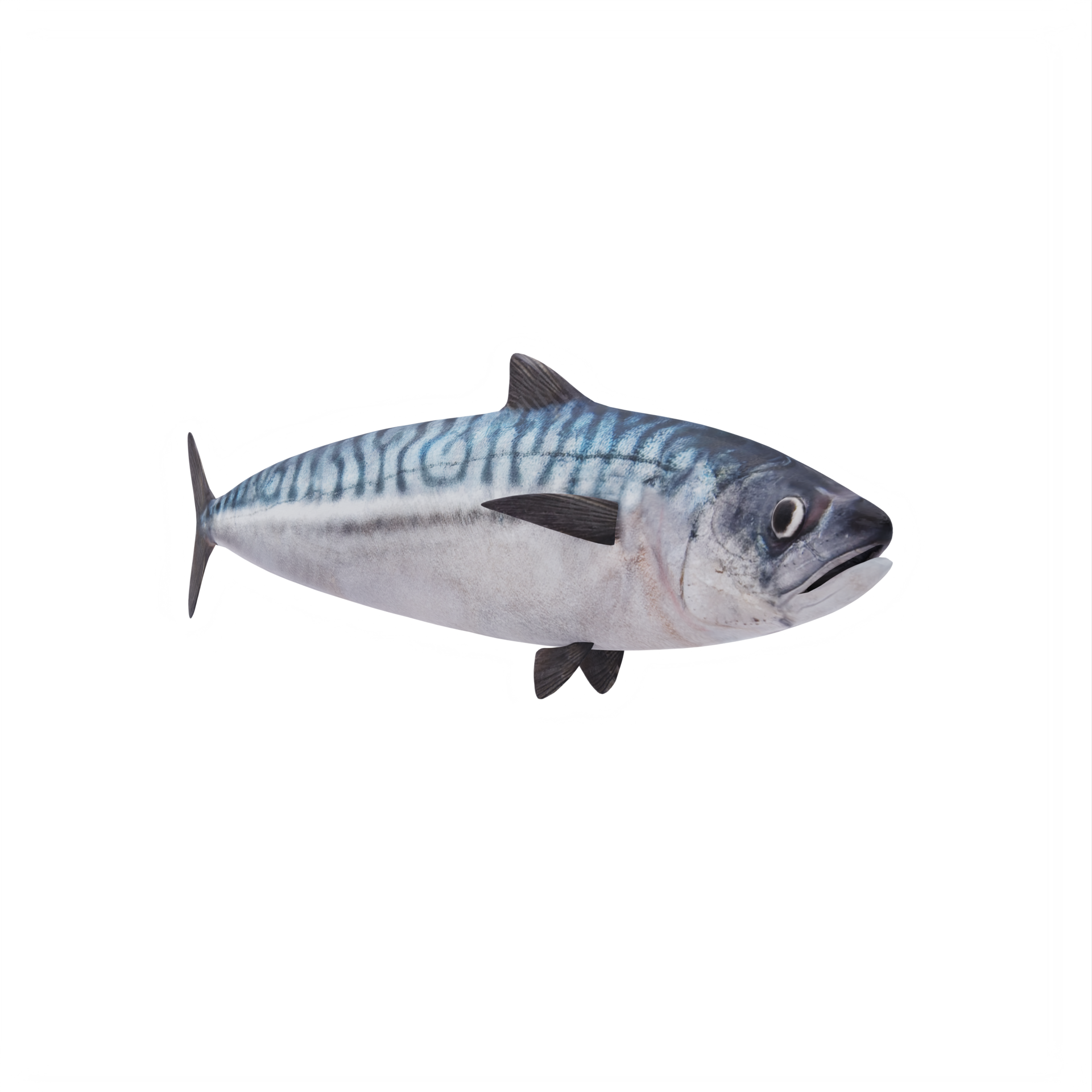 3d MACKEREL FISH 18876102 PNG