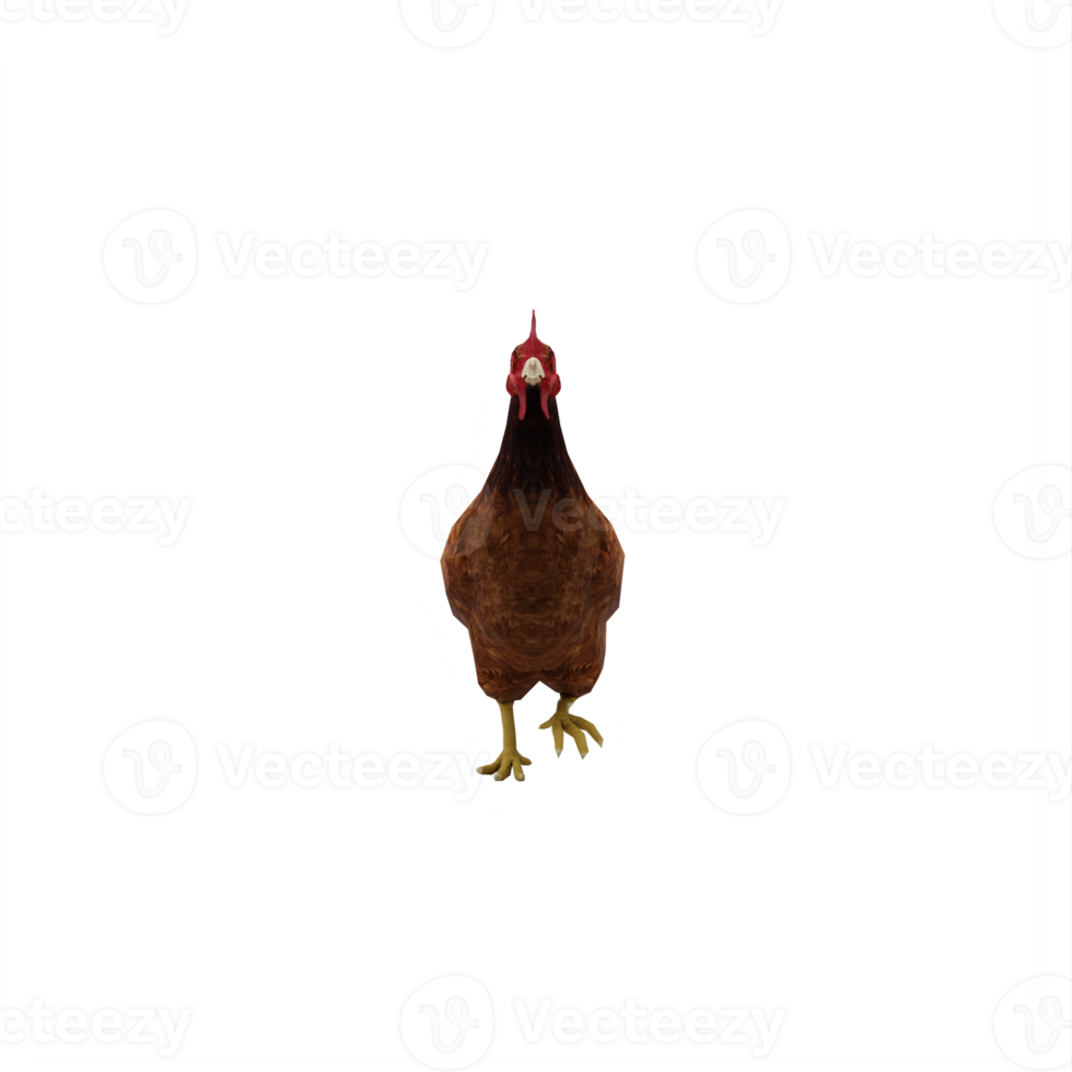3d Chicken isolated png