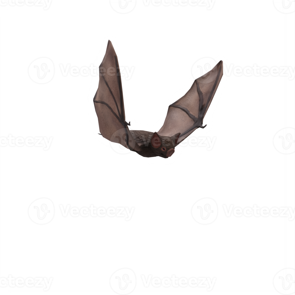 3d Bat isolated png