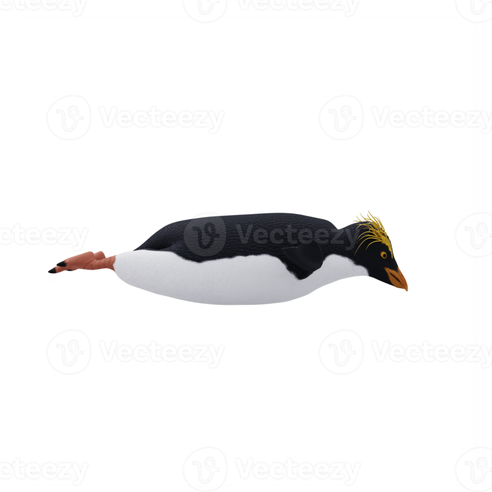 Erect crested penguin isolated png