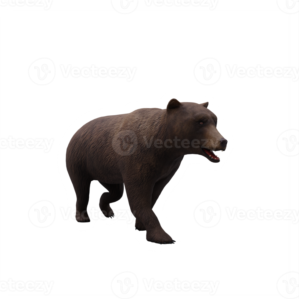 3d Bear isolated png