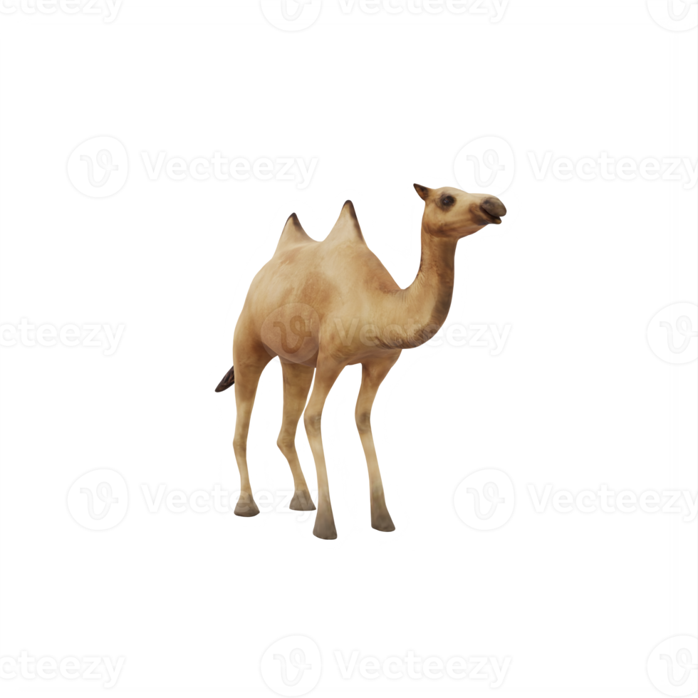 3D Camel isolated png