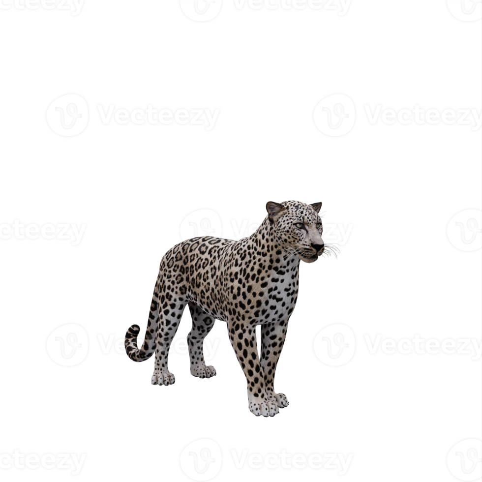 leopardo 3d aislado png