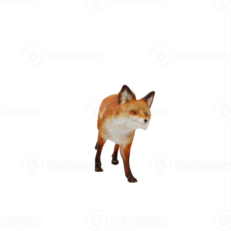 3d Fox isolated png